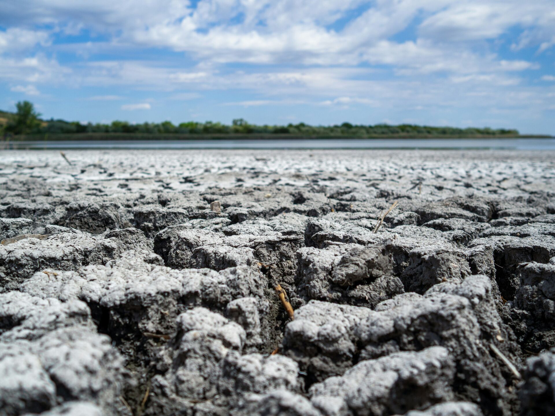 Verano de récords climáticos en Europa: 35.000 muertes y 180.000 millones en daños que exigen adaptación 1 Vida.es daños del cambio climático en Europa