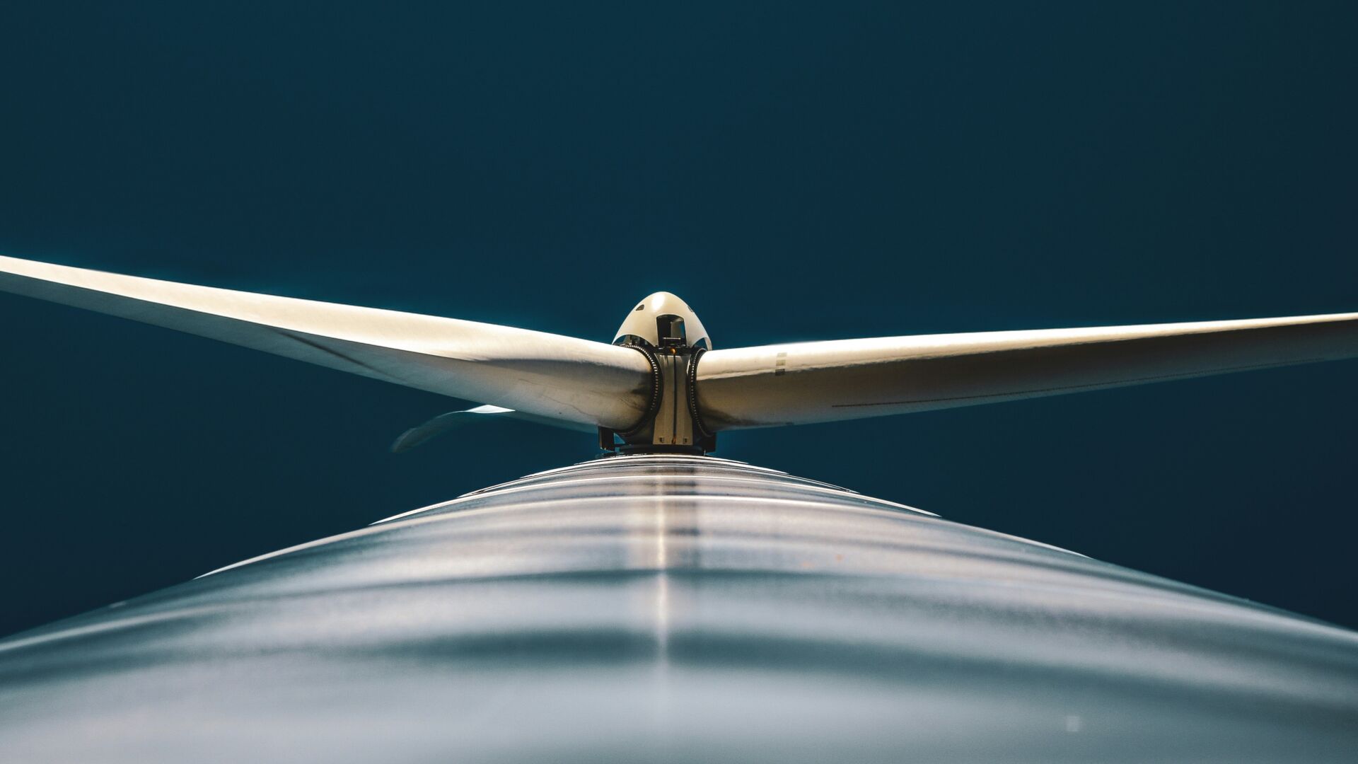 Cómo pintar las aspas de los aerogeneradores puede evitar millones de muertes de aves 1 Vida.es mortalidad aves eólica