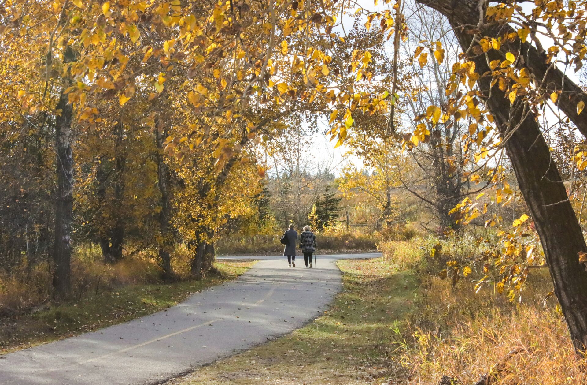 Cambio de hora de octubre: cómo adaptar el sueño y la rutina diaria en la madurez 1 Vida.es horario de invierno 2026