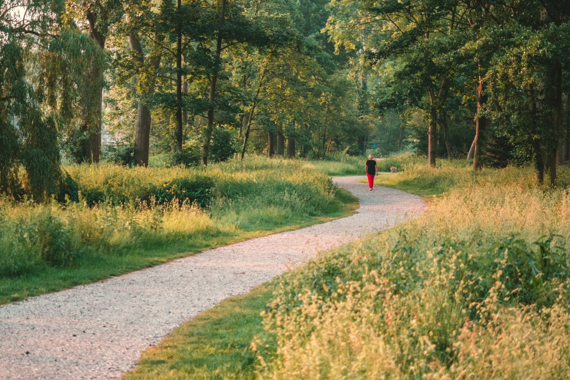 Caminar diez minutos después de comer: un hábito sencillo que ayuda a la digestión y modera los picos de glucosa 1 Vida.es caminata de 10 minutos