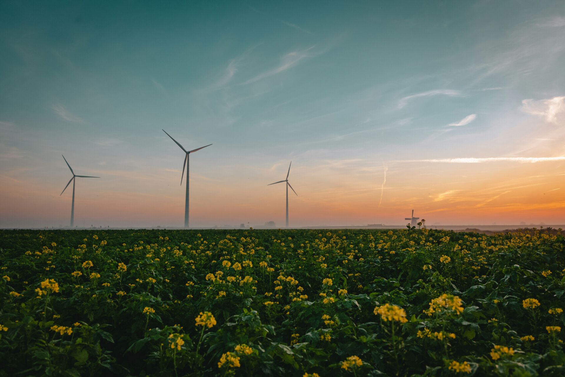 solar países en desarrollo