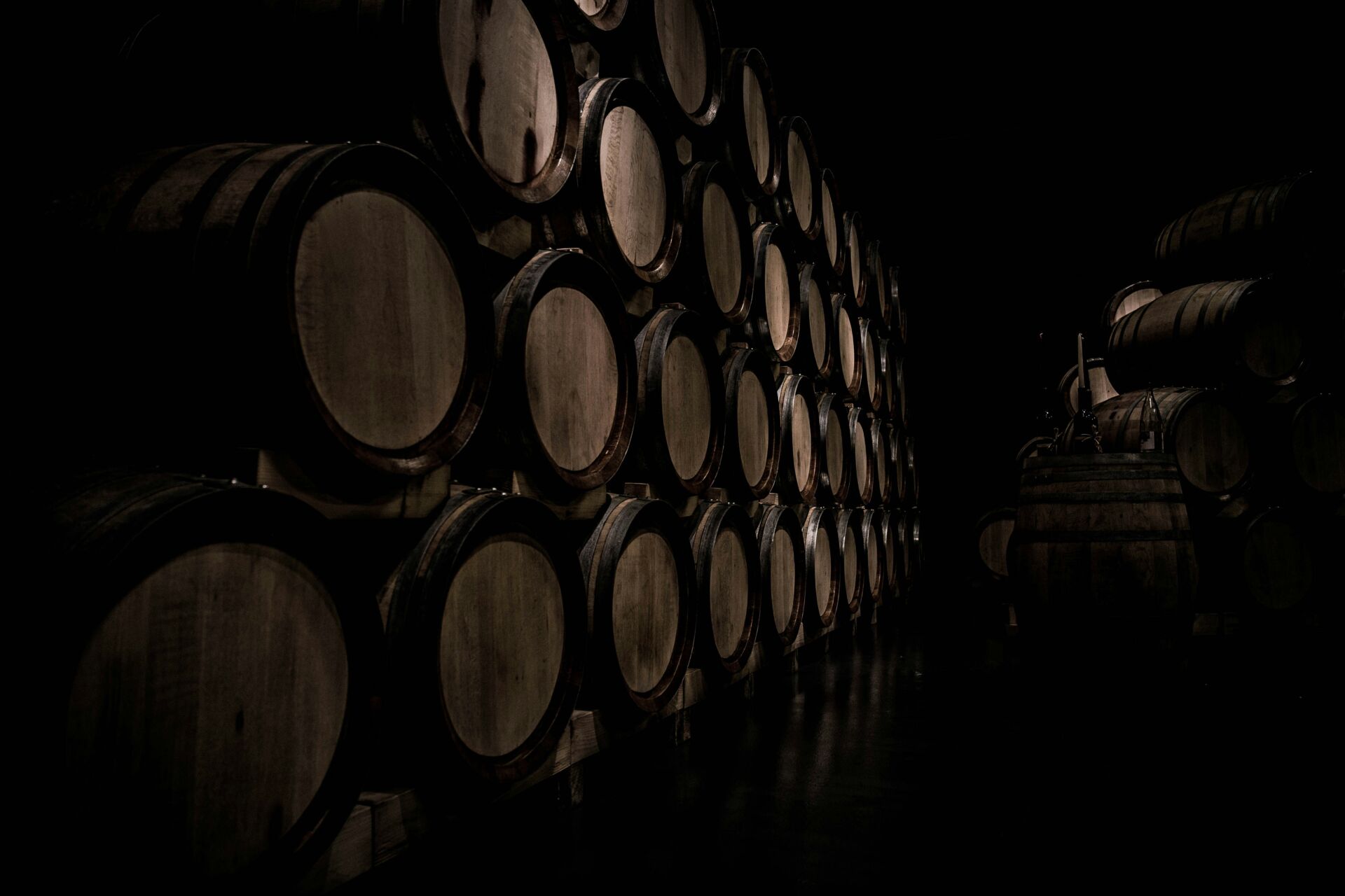 Peter Sisseck, creador de Pingus: así se construye un vino de culto que cuesta más de 1.000 € 1 Vida.es vino Pingus precio