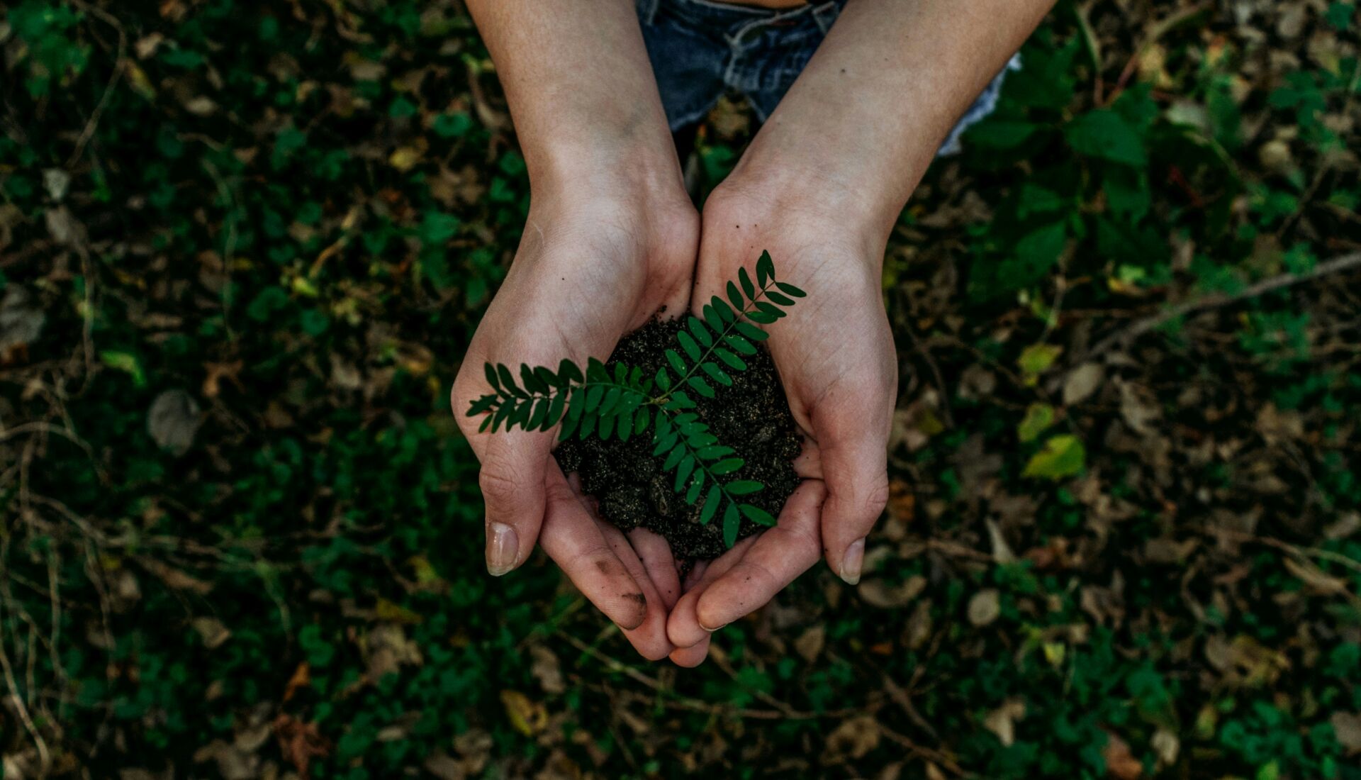 Por qué la presión sobre los agricultores británicos pone en riesgo la seguridad alimentaria 1 Vida.es agricultores y clima