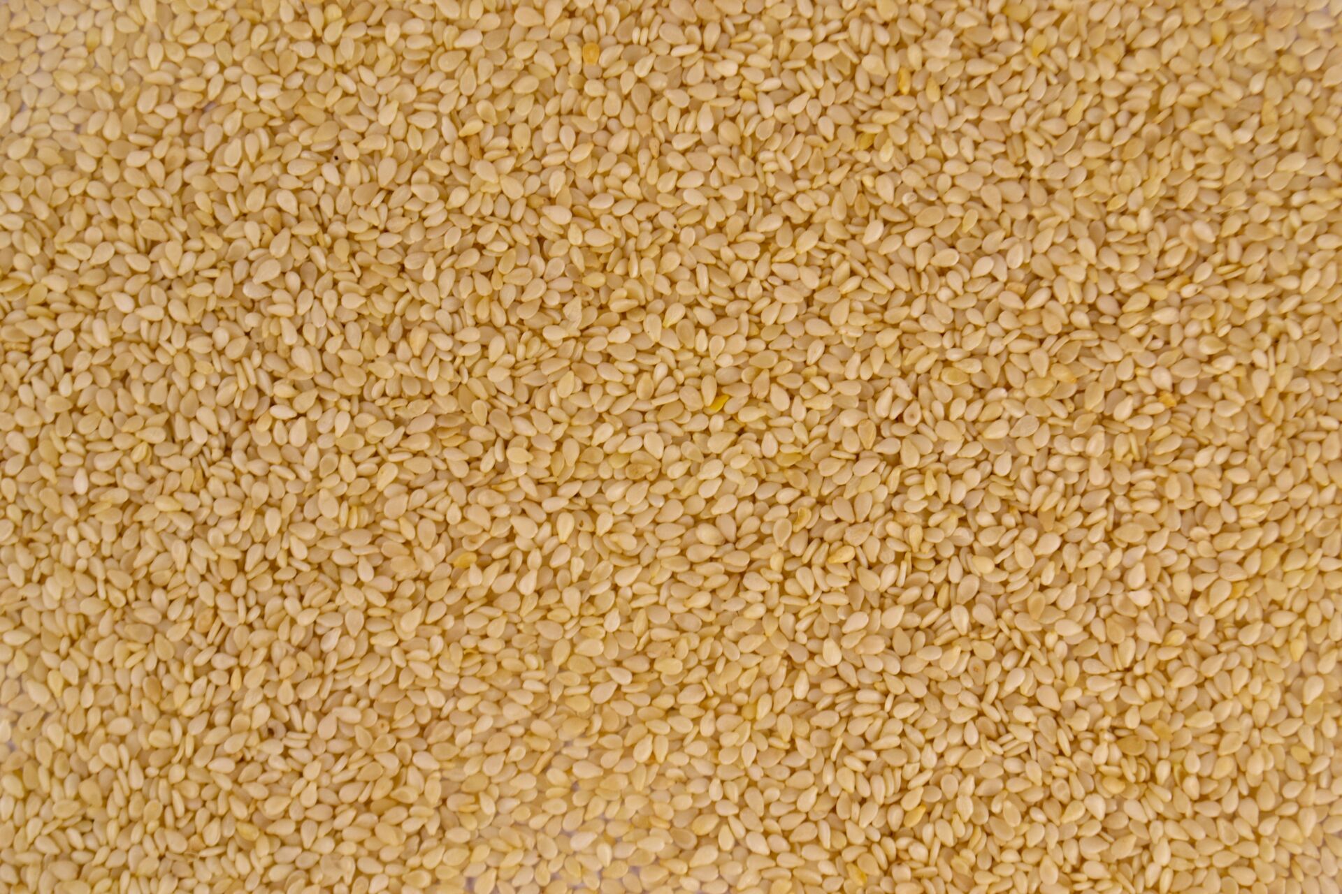 Quinoa superalimento: 14 g de proteína y 7 g de fibra, pero la evidencia desmiente el milagro 1 Vida.es quinoa propiedades