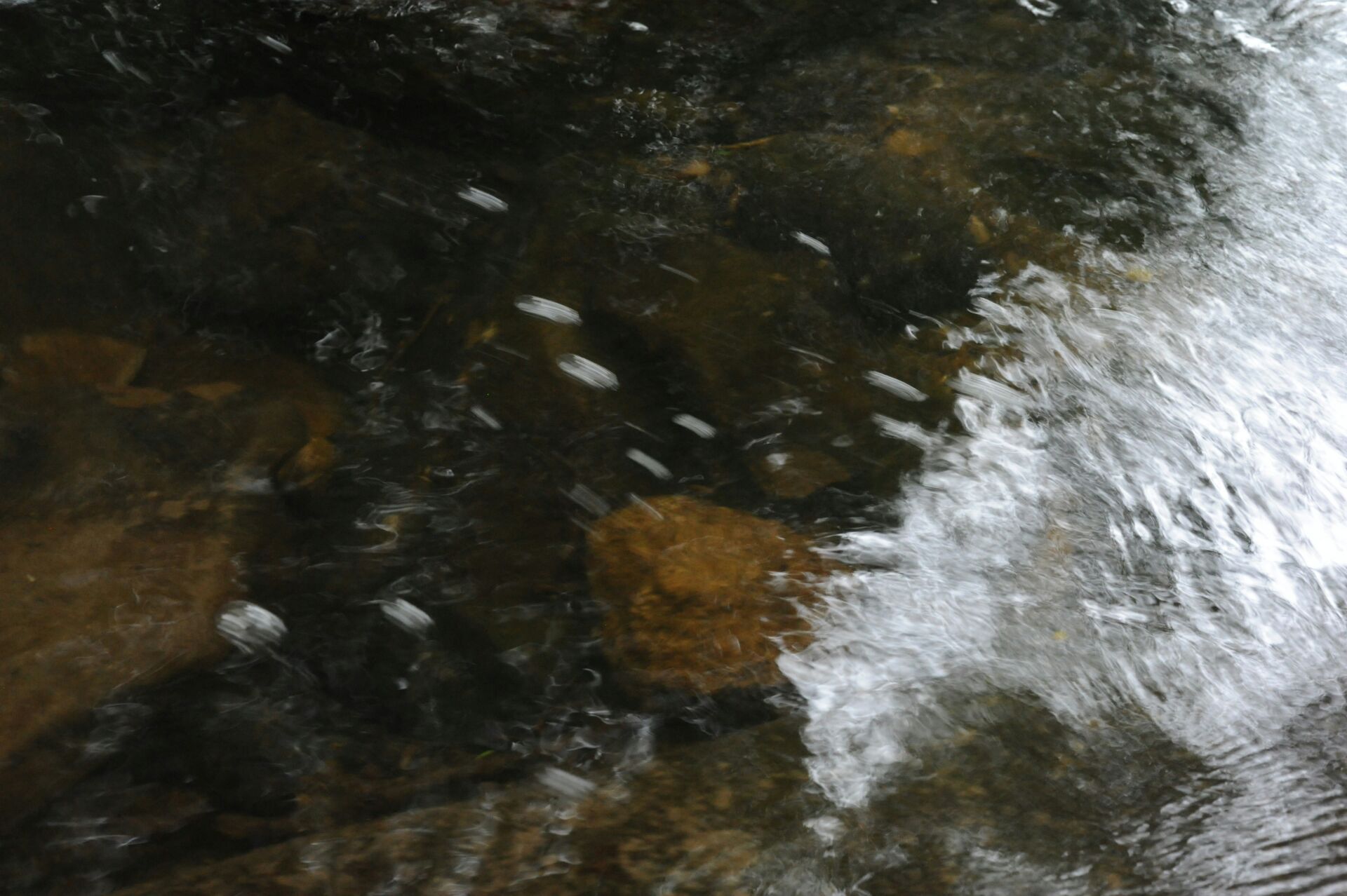 Ríos con menos caudal pese a más lluvia: qué dice el estudio sobre el ciclo hidrológico 1 Vida.es ciclo hidrológico cambio climático