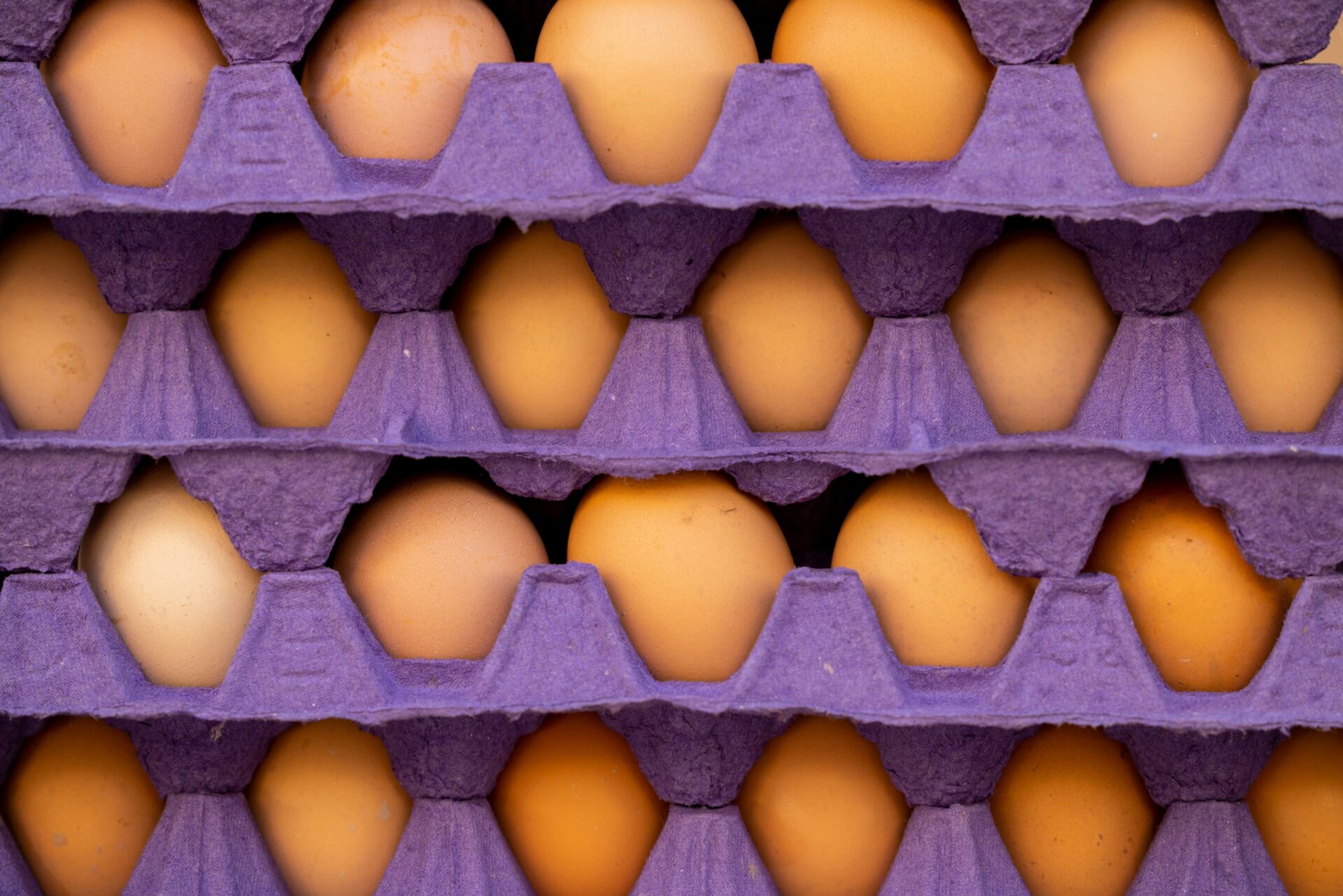 Salmonela en huevos: los tres errores en tu cocina que multiplican el riesgo de intoxicación 1 Vida.es intoxicación alimentaria