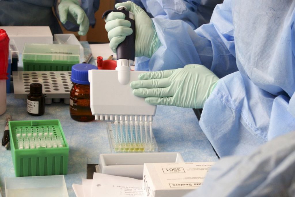 Gripe del tomate qué es y cómo afecta