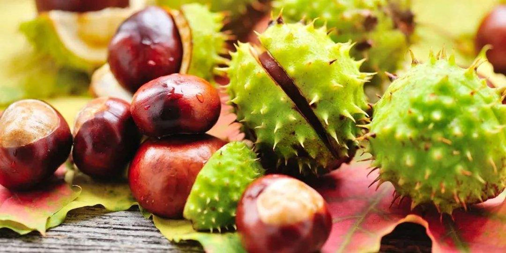Contiene nutrientes esenciales