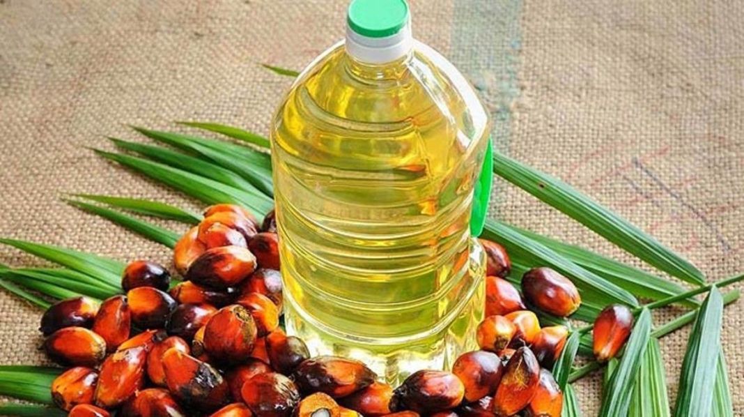Aceite de palma: versátil pero peligroso