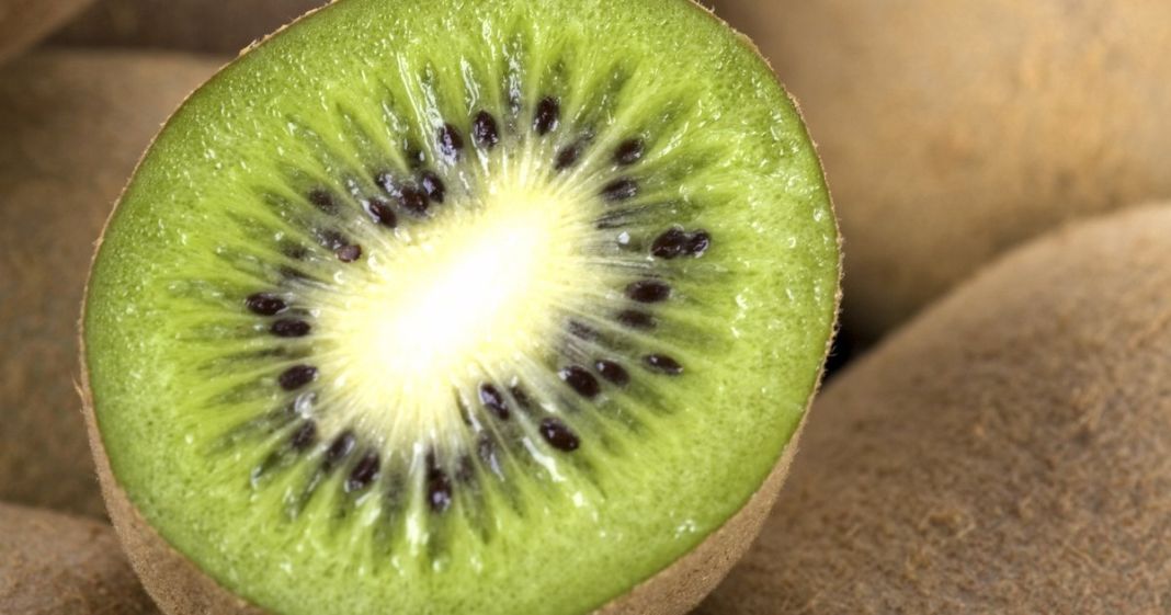 kiwi