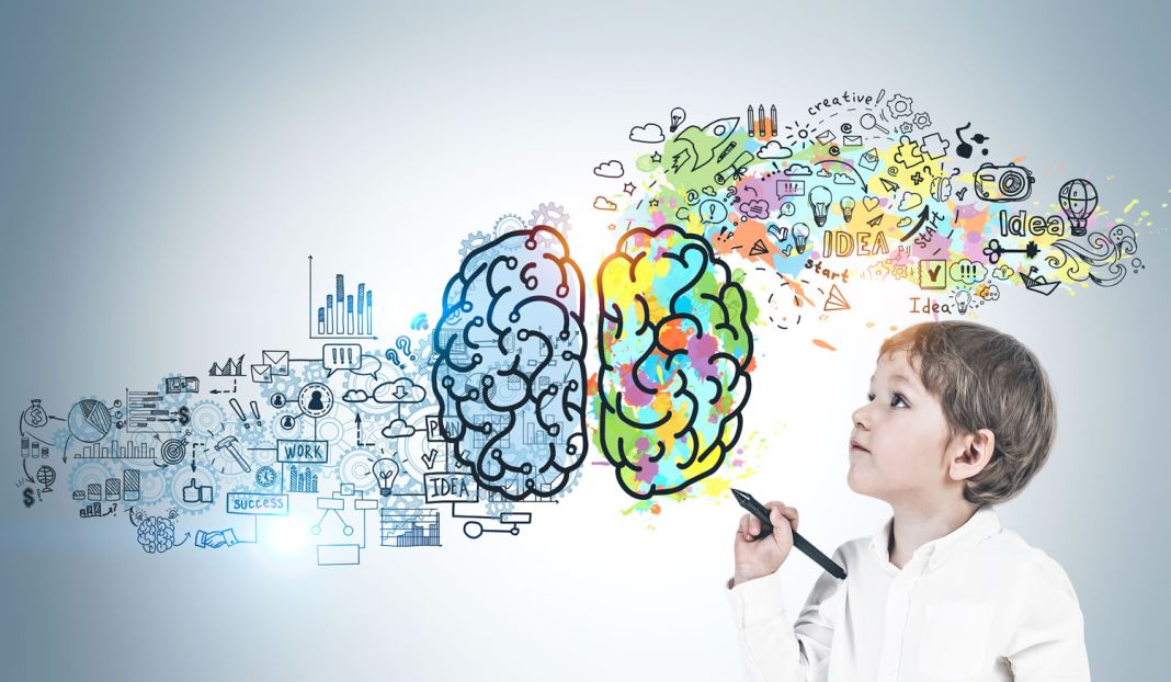 desarrollo cognitivo