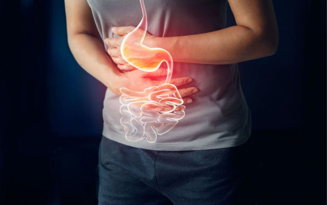 Qué alimentos se deben comer