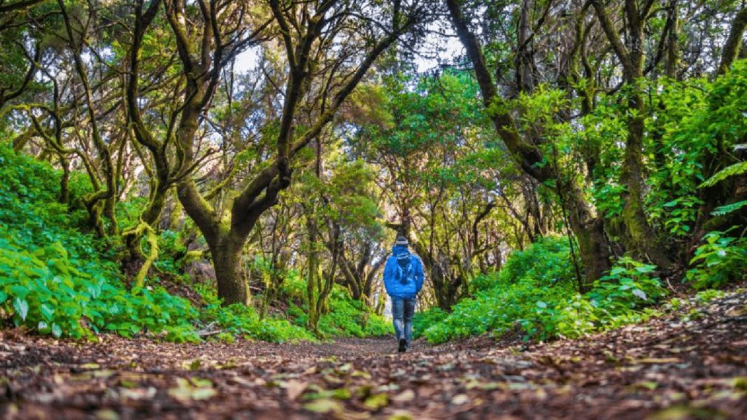 ¿Cómo planificar un viaje en solitario exitoso?