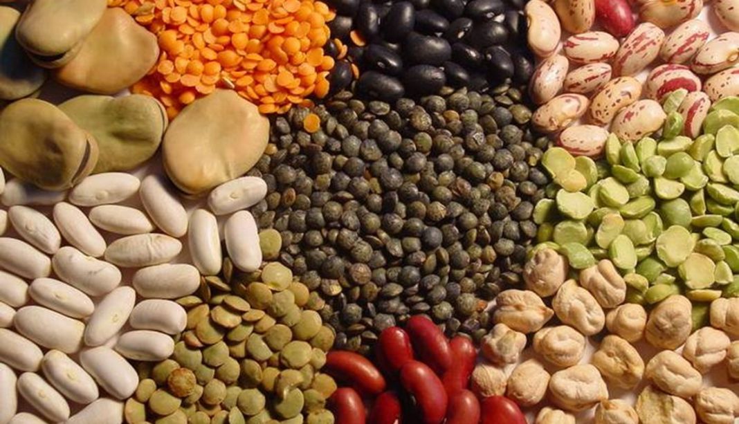 Arroz y legumbres