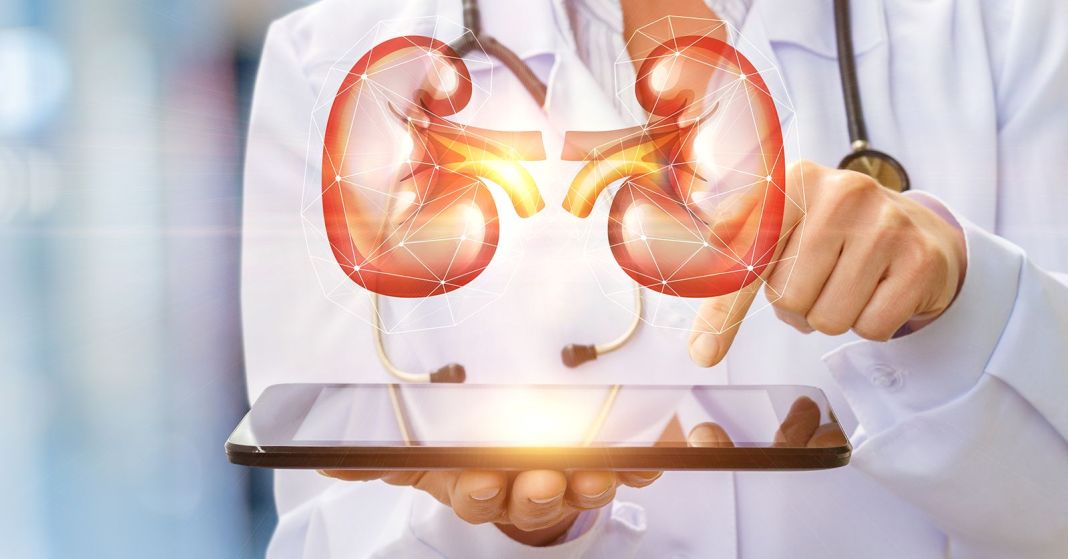 ¿Cómo se diagnostica una enfermedad renal?