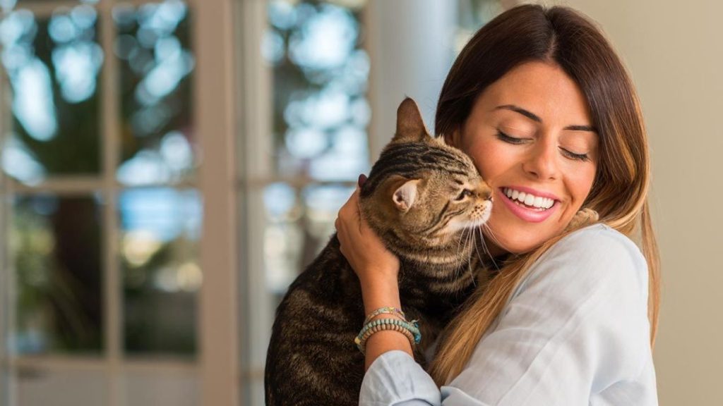 Qué es el ronroneo de los gatos