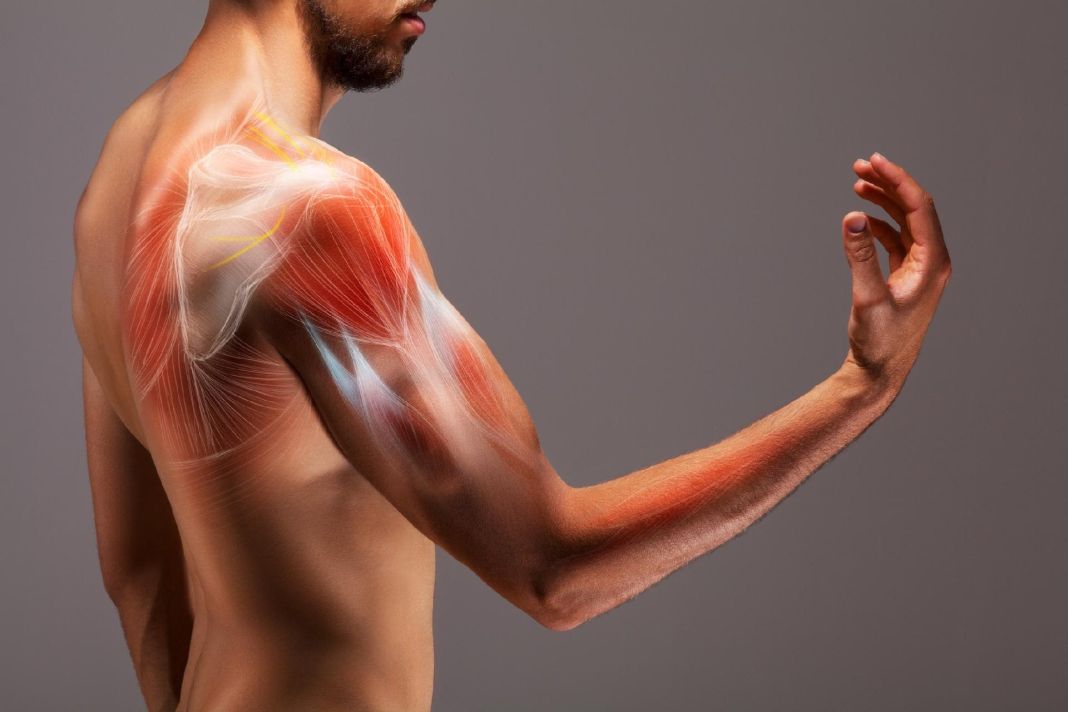 Tensión muscular