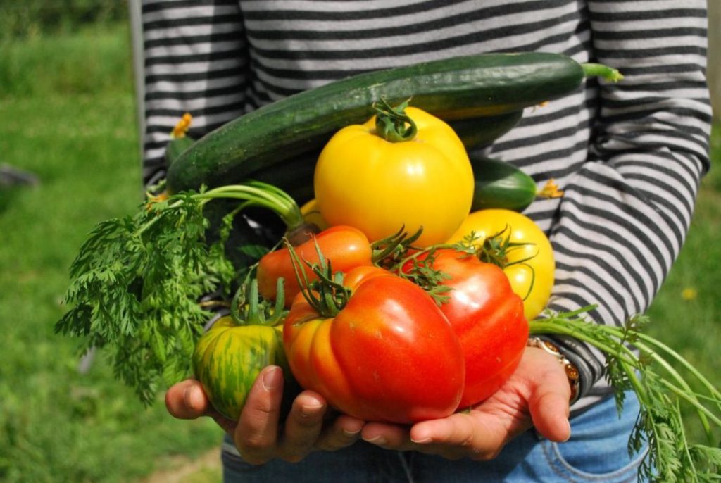 Alimentos con pesticidas