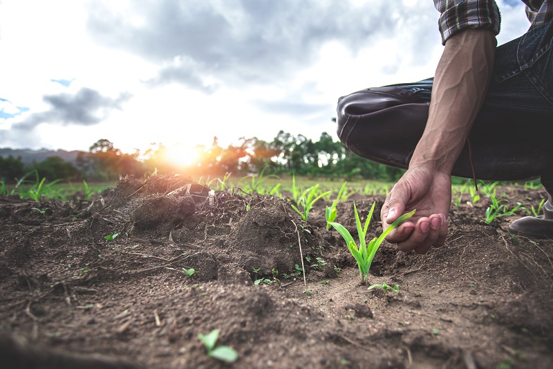 Contaminación por fertilizantes