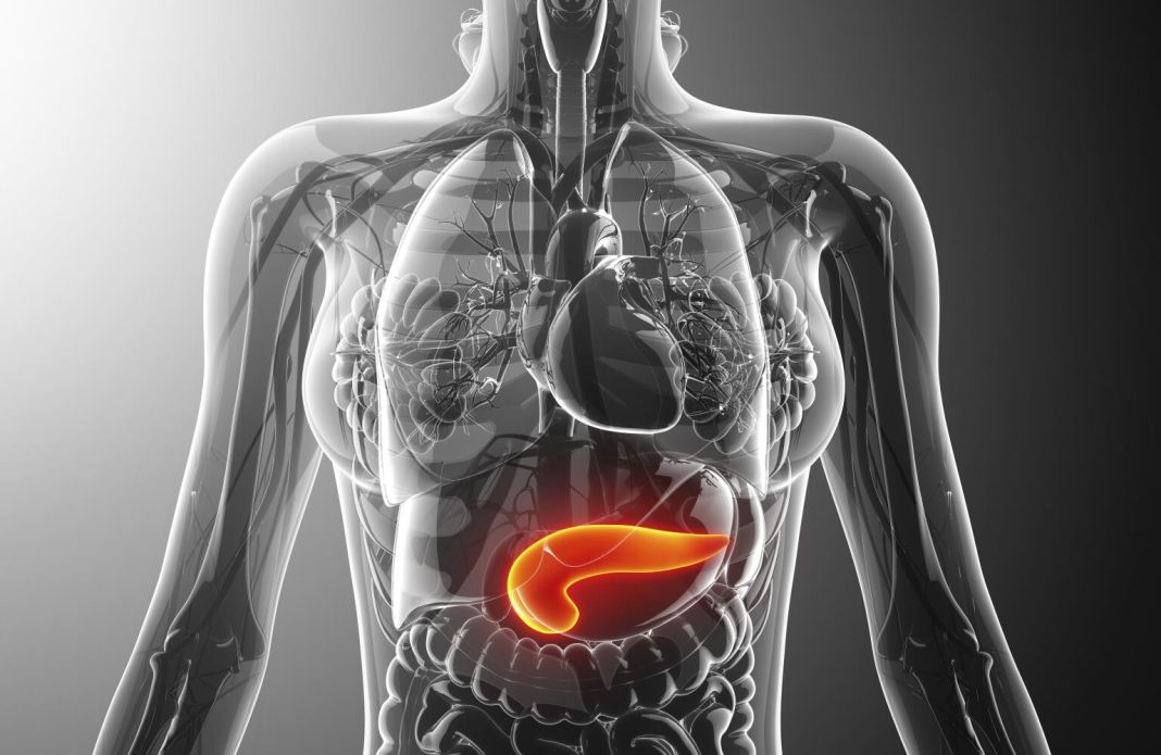 TERAPIA GENÉTICA: UN FUTURO PROMETEDOR