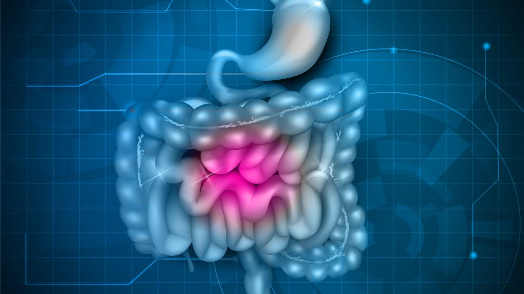 AVANCES EN LA CIENCIA DE LA MICROBIOTA