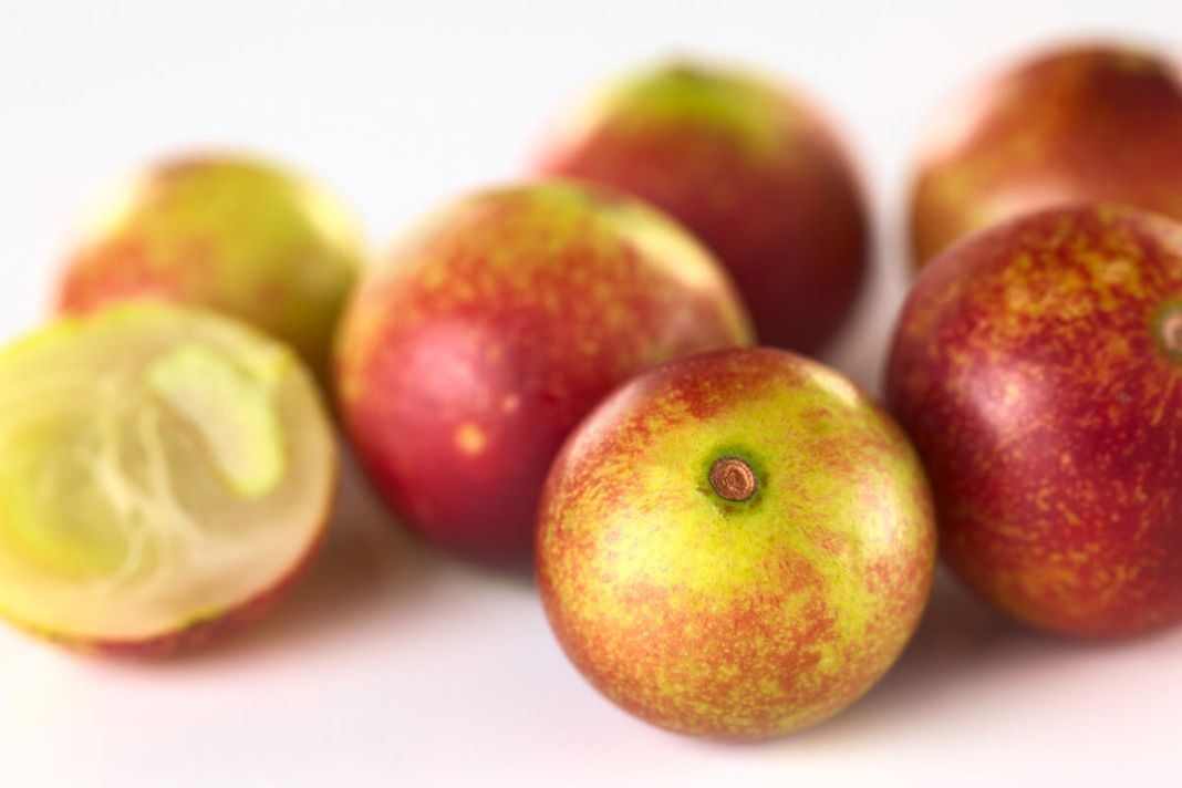 DESCUBRIMIENTOS DE SABORES: FRUTAS EXÓTICAS RICAS EN VITAMINA C
