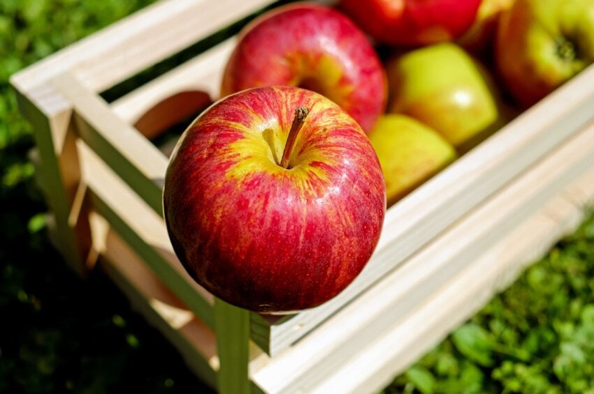 LOS NUTRIENTES CLAVE DE LA MANZANA