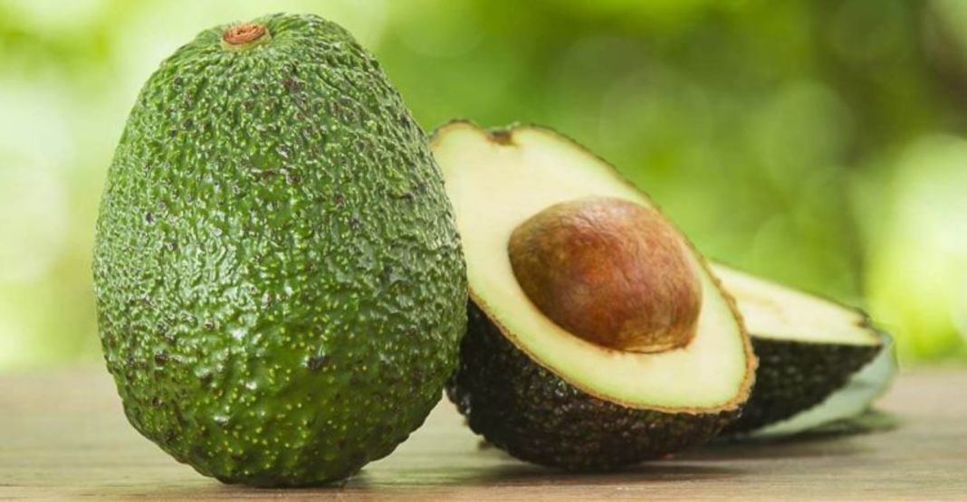 SUPERALIMENTOS: AGUACATE EL ALIMENTO MÁS VERSÁTIL