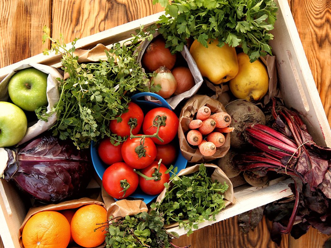 LA SOSTENIBILIDAD AMBIENTAL DE LA DIETA PALEO