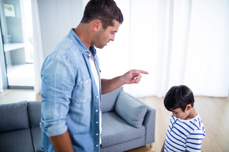 Violencia física o verbal