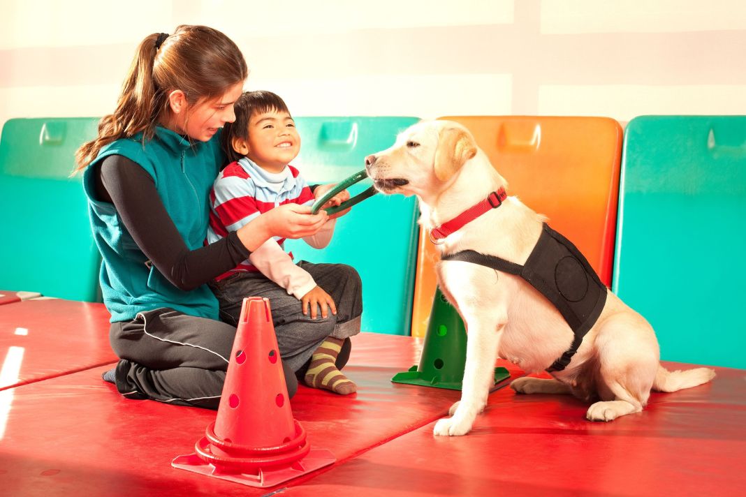 LA TERAPIA ASISTIDA POR PERROS