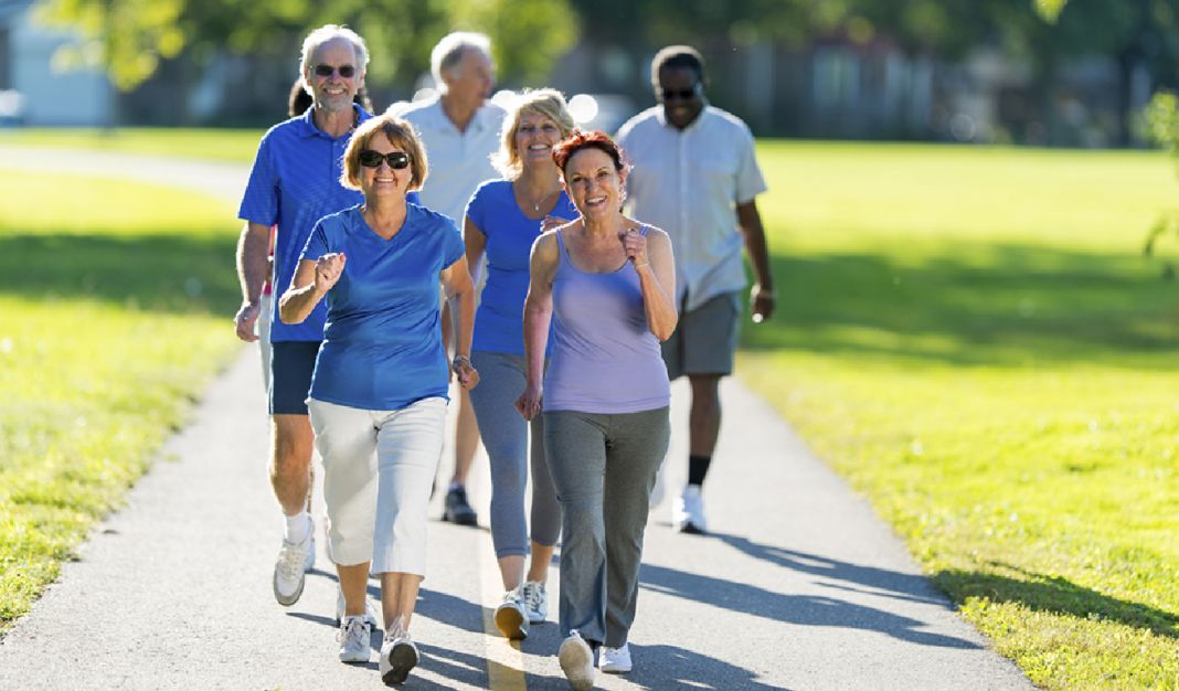 CAMINA: ACTIVIDAD FÍSICA Y CARDIOVASCULAR