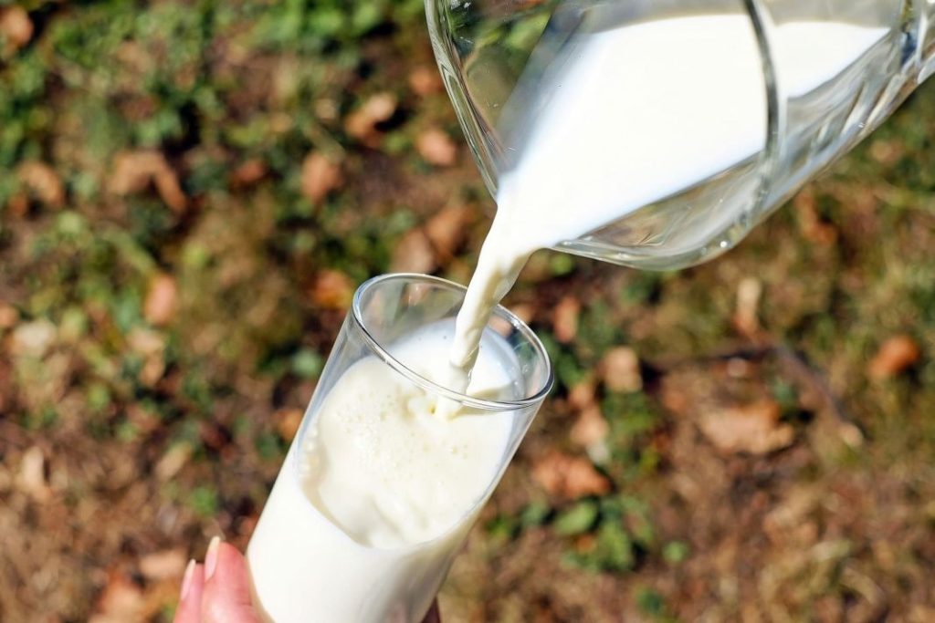 Contenido nutricional de la leche de vaca