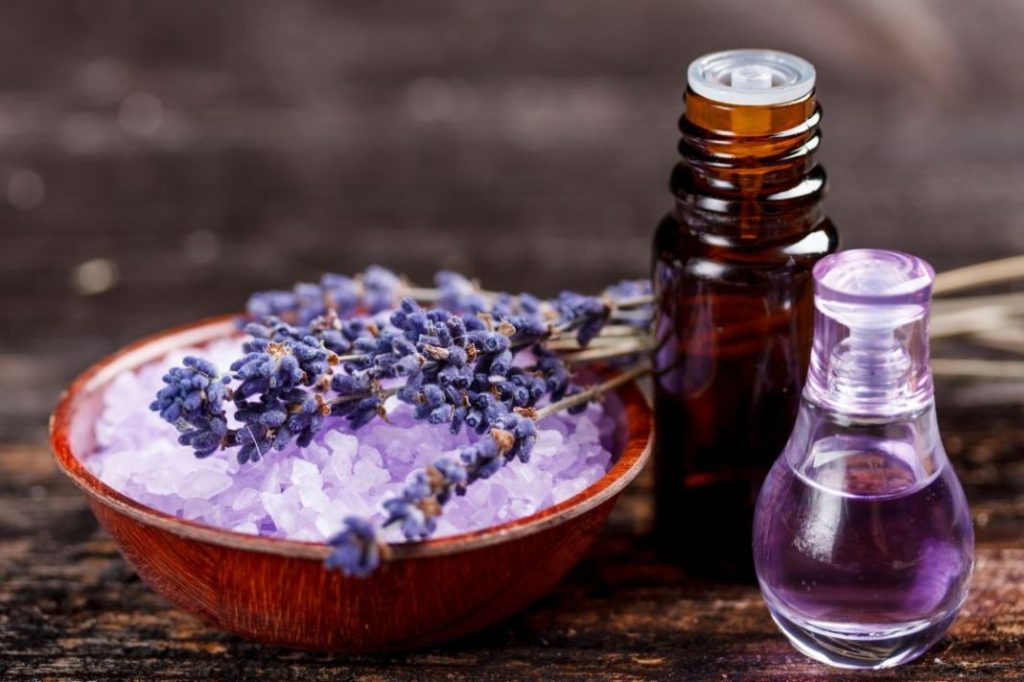 PULGAS: ACEITE DE LAVANDA