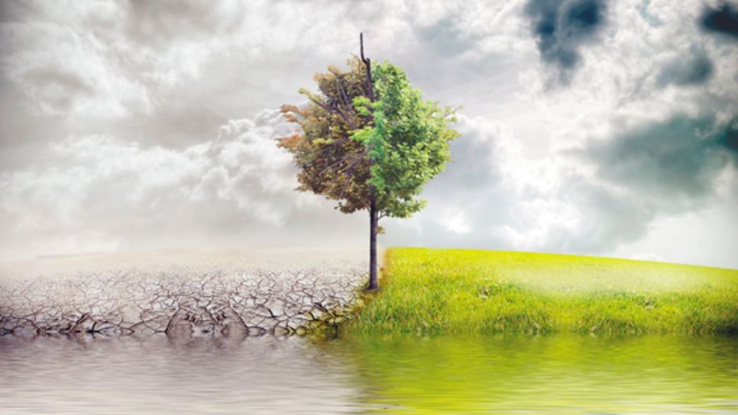 IMPACTO AMBIENTAL Y ÉTICO