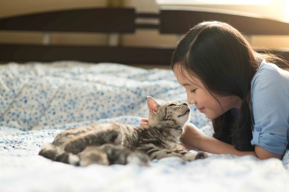 El curioso método japonés para encontrar un gato perdido 1 Vida.es ¿Qué es el gato?