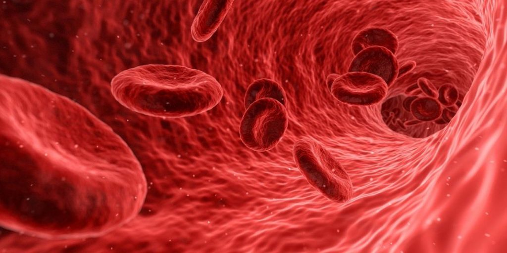 Anemia hemolítica vs anemia ferropénica: ¡las claves para entenderlas! 1 Vida.es Anemia hemolítica vs anemia ferropénica: ¡las claves para entenderlas!