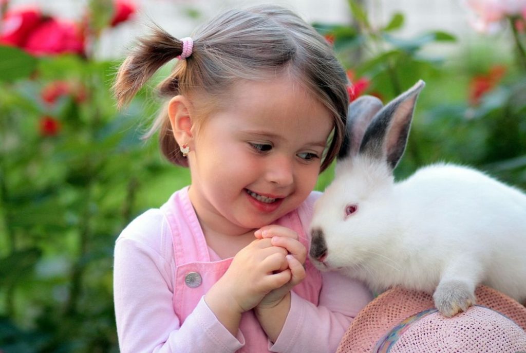 Cómo enseñar a tu conejo a salir de la jaula sin que se escape 1 Vida.es mascota