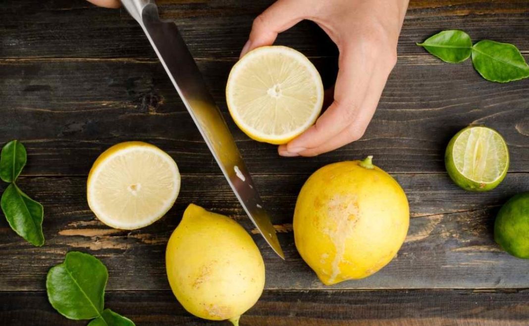¿Qué tipo de limón es el más recomendado?