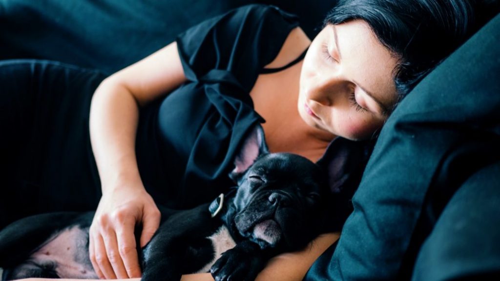 Los motivos de salud por los que no debes dormir con tu perro o gato