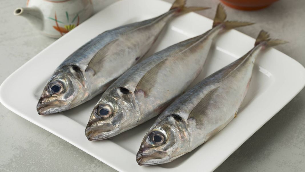 Motivos por los que deberías comer jurel varias veces a la semana 1 Vida.es El jurel