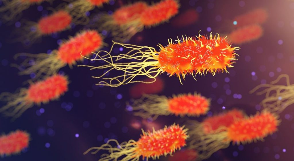 Qué le pasa a tu cuerpo si consumes probióticos a diario 1 Vida.es Qué le pasa a tu cuerpo si consumes probióticos a diario