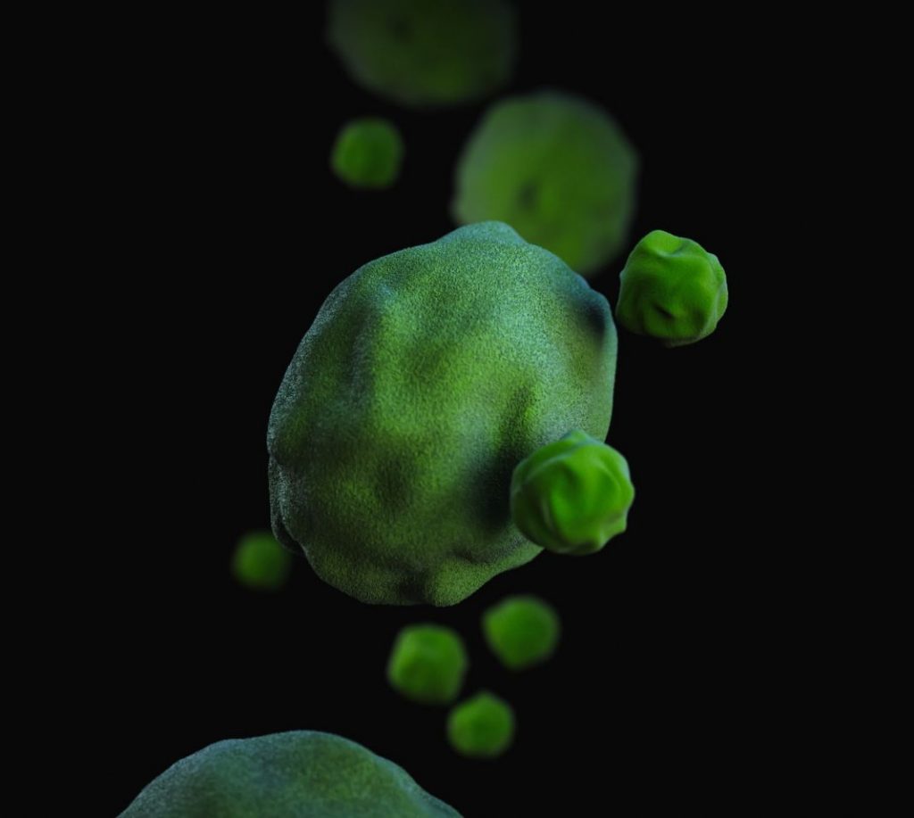 Toxoplasmosis: síntomas que te avisan de la enfermedad 1 Vida.es Toxoplasmosis: síntomas que te avisan de la enfermedad
