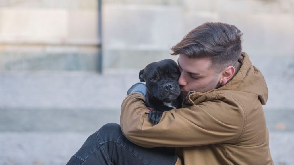 El motivo por el que no debes abrazar a tu perro