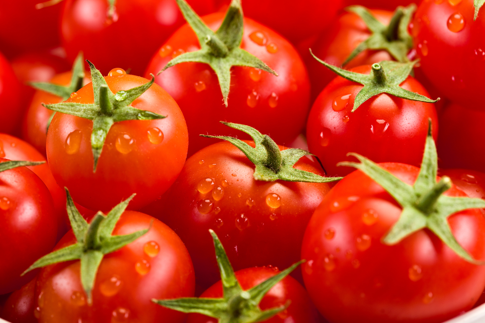 Tomate de fruta de poder