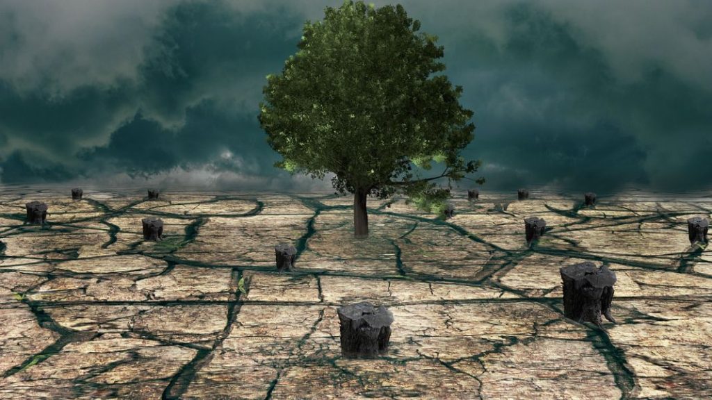 Consecuencias del cambio climático que estamos notando ya 1 Vida.es Consecuencias del cambio climático que estamos notando ya