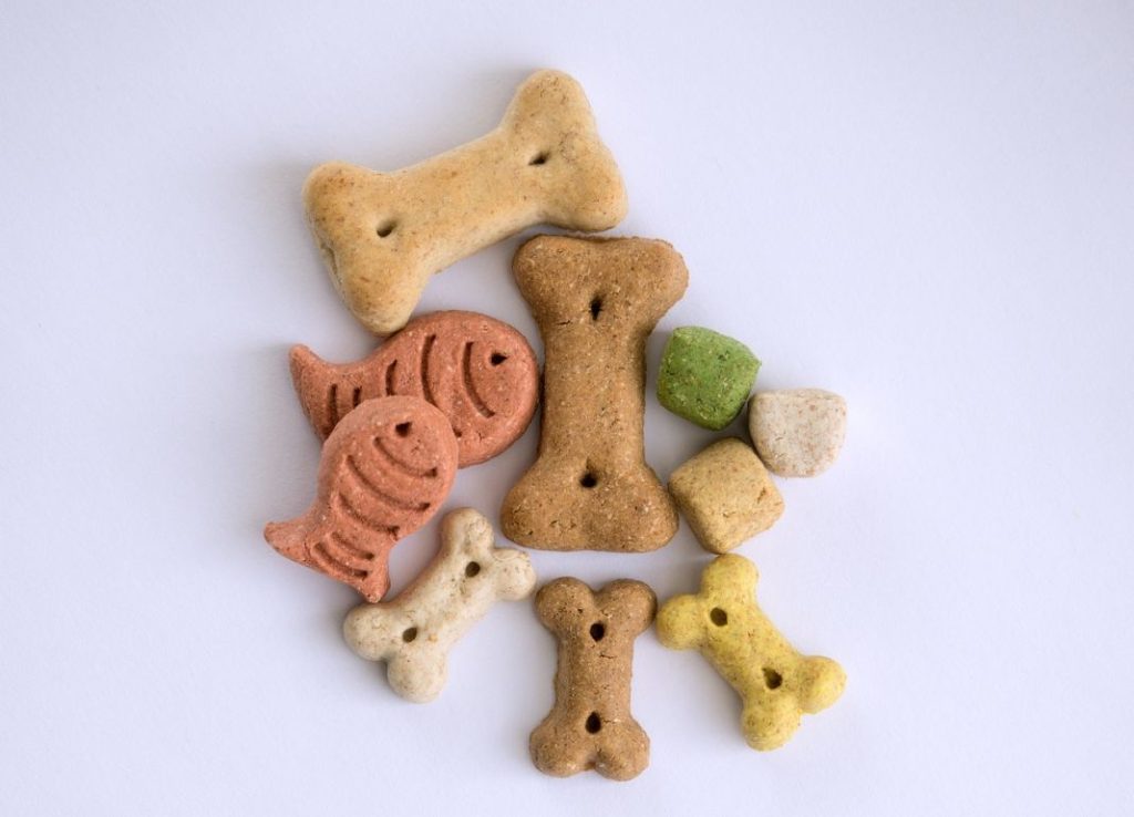 10 recetas aptas para perros con los que sorprenderlos en Navidad 1 Vida.es mascotas