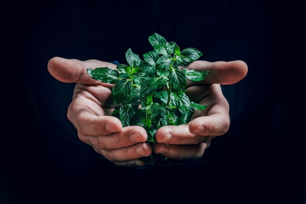Cosas que crees que son ecológicas y no es así 1 Vida.es Cosas que crees que son ecológicas y no es así