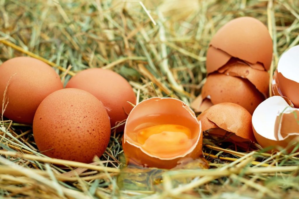 Los huevos ya no son "malos"