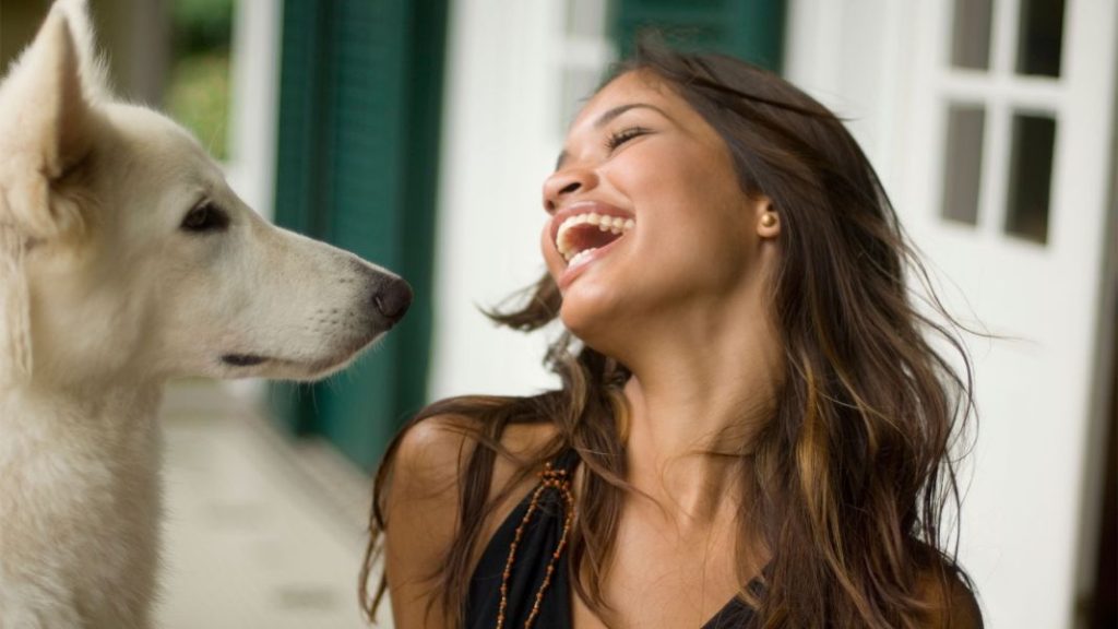 Trucos para ahorrar en el cuidado de tu perro 1 Vida.es Ahorros en comestibles